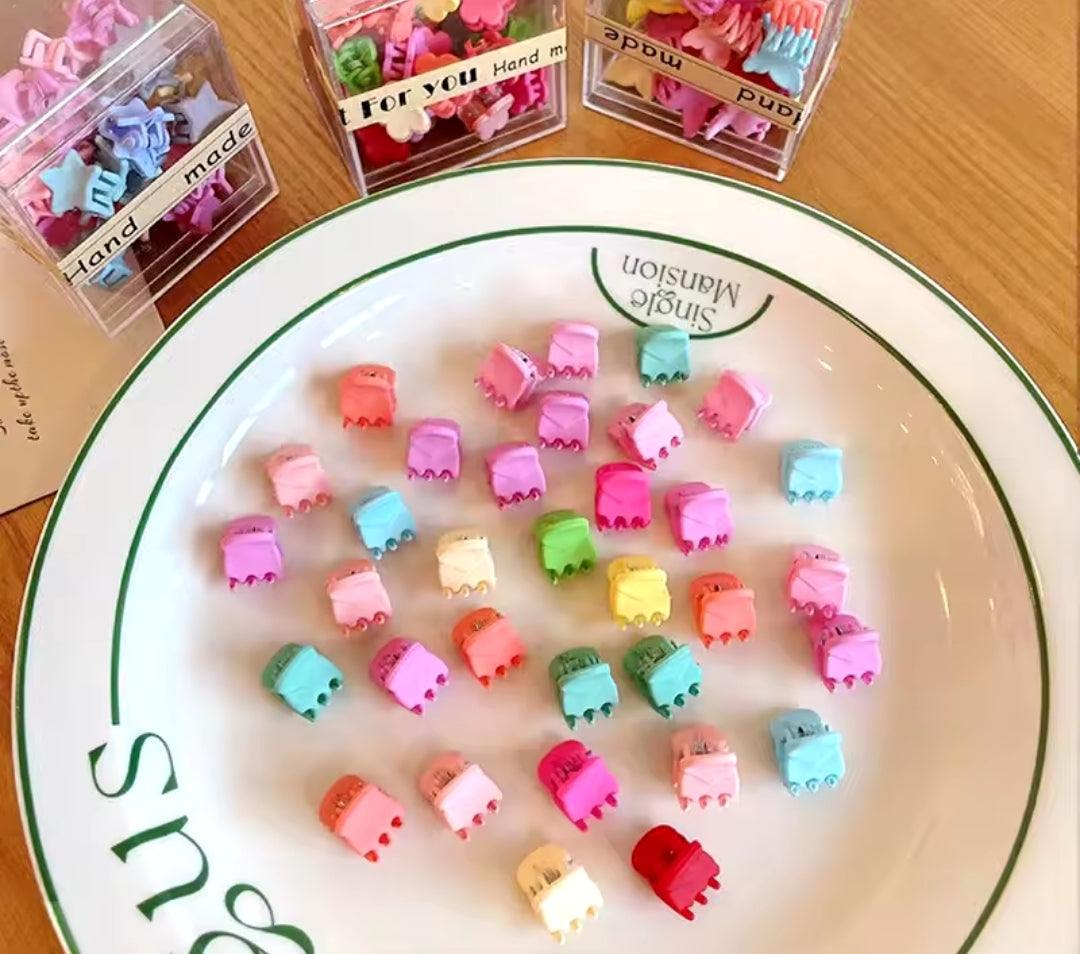 Colorful Mini Flower Hair Clips!