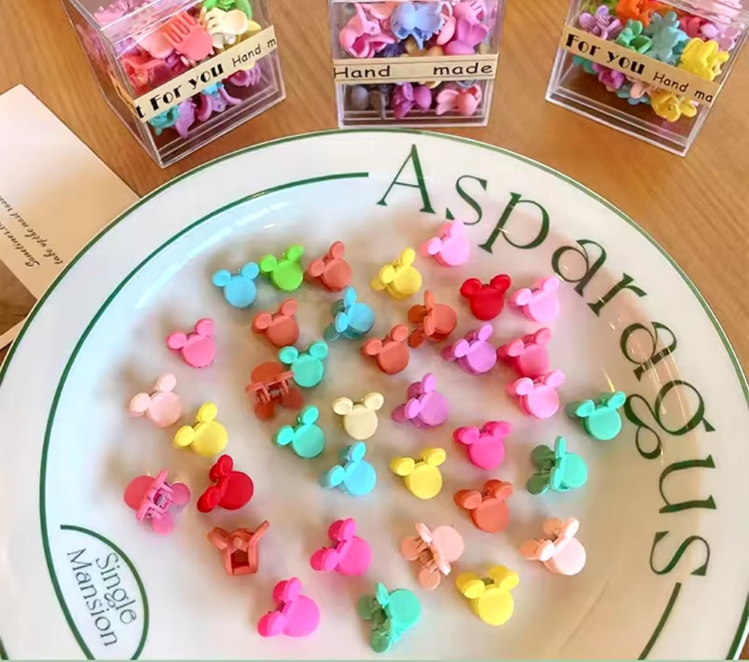 Colorful Mini Flower Hair Clips!